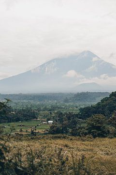 Paradijselijk Uitzicht: Rijstvelden en Mount Agung in Betoverend Bali van Troy Wegman