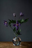 Lila Blume in Glasvase gegen dunklen Hintergrund