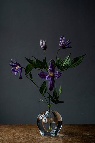 Foto print  paarse bloemen  in glazen vaas | modern stilleven | botanisch | modern stilleven