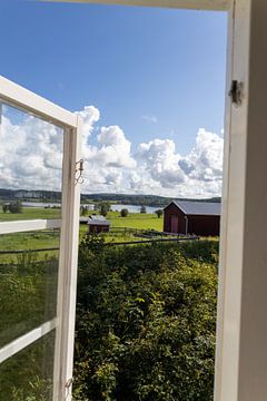 Schwedische Ansicht von Mike Frinking