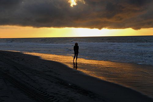 The last sun rays for today...