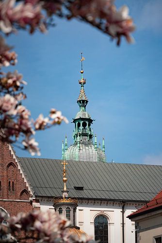 Wawel-Kathedrale, Krakau
