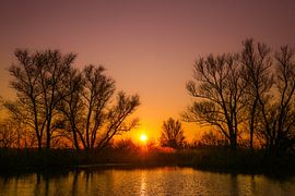 Sonnenuntergang Biesbosch brabant