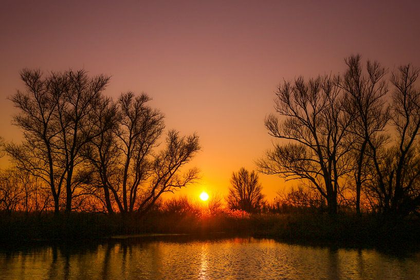 Sunset Biesbosch brabant by Diana van Geel