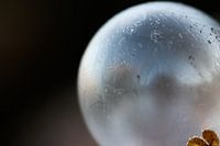 Magic frozen bubble