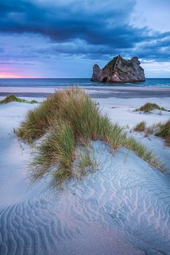 Nouvelle-Zélande Wharariki Beach sur Jean Claude Castor