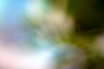 Blurred-photography-blurred