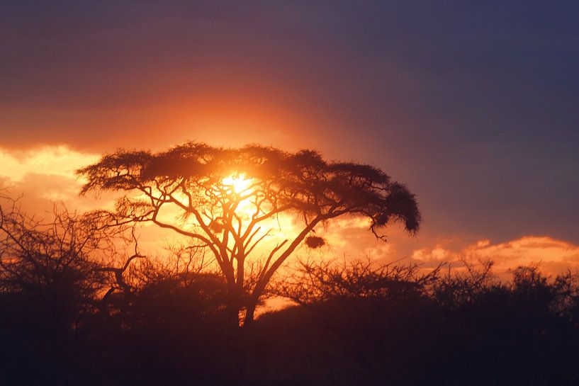 Afrikaanse Zonsondergang von Cinthia Mulders