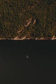 Boot omringd door bergen genomen vanaf de Preikestolen van Joyce van Doorn