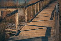 Passerelle en bois dans la tourbière