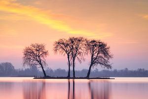 Reeuwijkse plassen. van Richard Nell