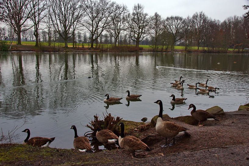 Oever van de vijver van Edgar Schermaul