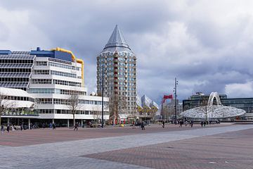 Binnenrotte Rottedam van fotografiebiezen