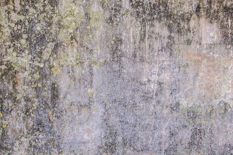 Old walls finished with whitewash by Frans Nijland