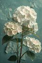 Witte Hortensia Bloemen in Turquoise Vaas van Art & Soul Creations thumbnail