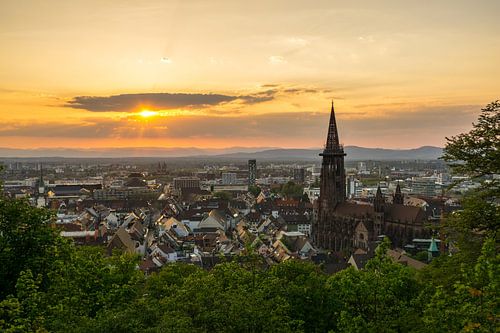 Duitsland, Romantische zonsondergang over daken van stad Freiburg im Breisgau