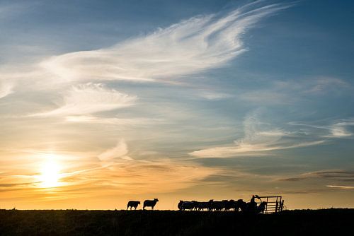 Before night falls by Niels Duytschaever