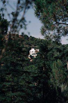 Villa Parc Güell - Barcelona by StreefMedia