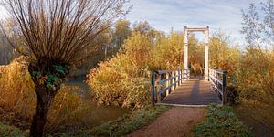 Herfst in de Rhoonse Grienden van Henno Drop