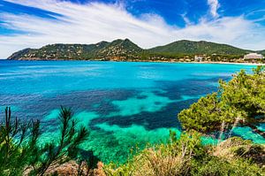 Prachtig uitzicht op de baai van de kust van Canyamel op het eiland Mallorca van Alex Winter