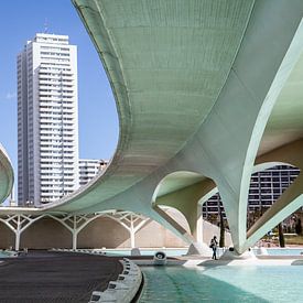 bruggen en flatgebouw in Valencia van Eric van Nieuwland