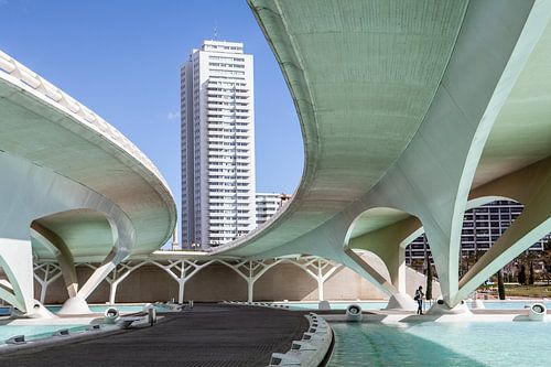bruggen en flatgebouw in Valencia