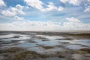 Het wad bij Terschelling