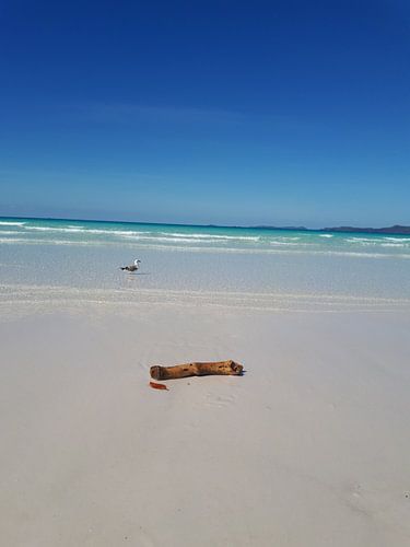 Paradise: wit strand an tuquoise water!