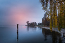 Ambiance brumeuse au bord du lac de Constance  sur Conny Pokorny