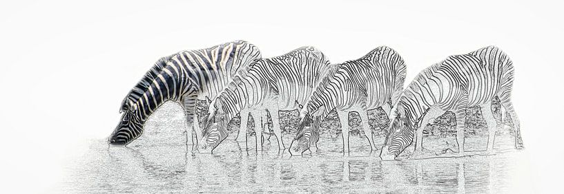 Drinkende zebra's in Etosha Nationaal Park van Rietje Bulthuis