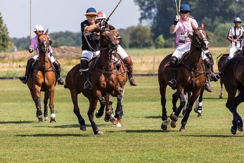 Polo par STEVEN VAN DER GEEST