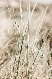 Hidden amongst the reeds by Nienke van Denderen