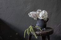Still life with blossom horse chestnut by Affect Fotografie thumbnail