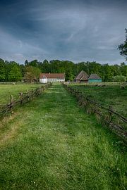 rural landscape by Jo Beerens