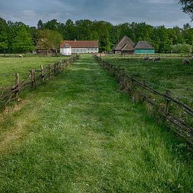 rural landscape by Jo Beerens