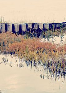 Am Wattenmeer no6a