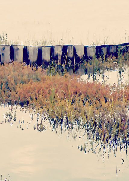 Op de Waddenzee no6a van Pia Schneider