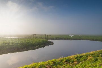 mistige ochtend op het platteland in het Groene Hart in Zuid-Hol van gaps photography