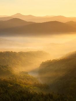 Fantastique lever de soleil sur la forêt du Palatinat