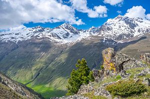 Wildspitze in den Tiroler Alpen im Frühling