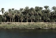 River Nile Egypt van Liesbeth Govers voor Santmedia.nl thumbnail