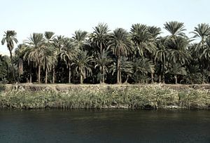 Nil-Ägypten von Liesbeth Govers voor Santmedia.nl