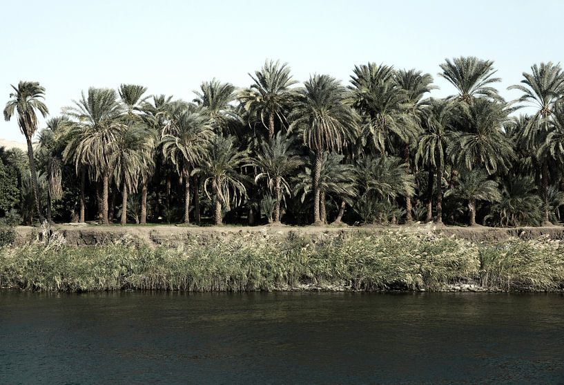 River Nile Egypt van Liesbeth Govers voor Santmedia.nl
