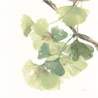 Gingko Leaves II op Wit, Chris Paschke