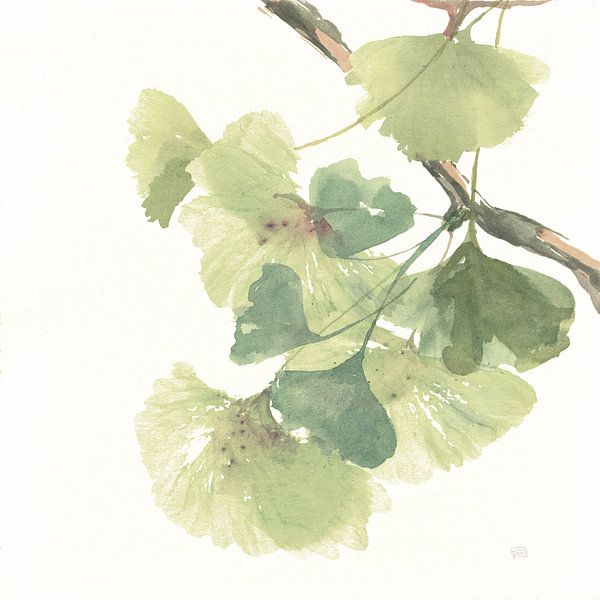 Gingko feuilles II sur blanc, Chris Paschke sur Wild Apple