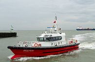 Loodsboot Wulpen Vlissingen van MSP Canvas thumbnail