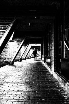 Delftsevaart van fotografiebiezen