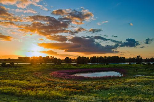 De belles couleurs sur le Kaliwaal près de Nijmegen