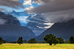 Fuchs-Gletscher von Antwan Janssen