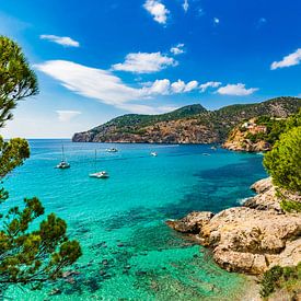Prachtig uitzicht op de baai van Camp de Mar, aan zee op Mallorca van Alex Winter